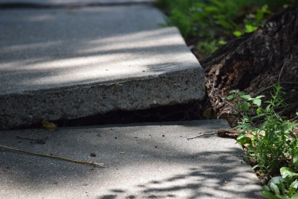 Sidewalk Leveling Service